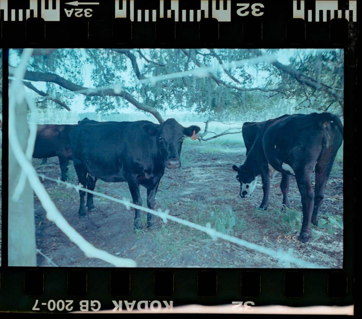 img20220811_18215530